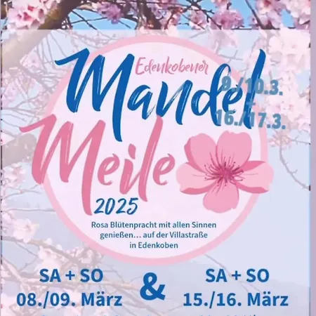 Zum Goldenen Ochsen ホテル マイカンマー