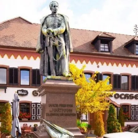 Zum Goldenen Ochsen ホテル 3*