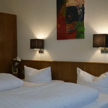 Zum Goldenen Ochsen 酒店