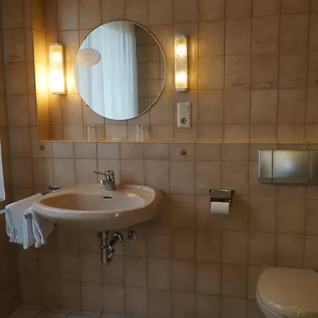 酒店 Zum Goldenen Ochsen 3*