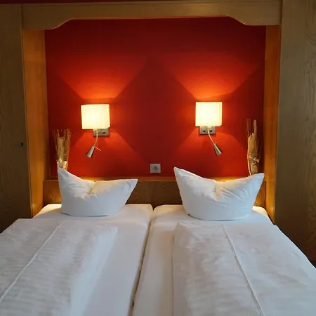 Zum Goldenen Ochsen 3* マイカンマー